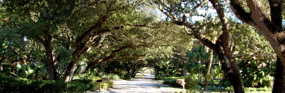 Vero Beach Nature Nestled Communities Vero Beach Nature Nestled Communities