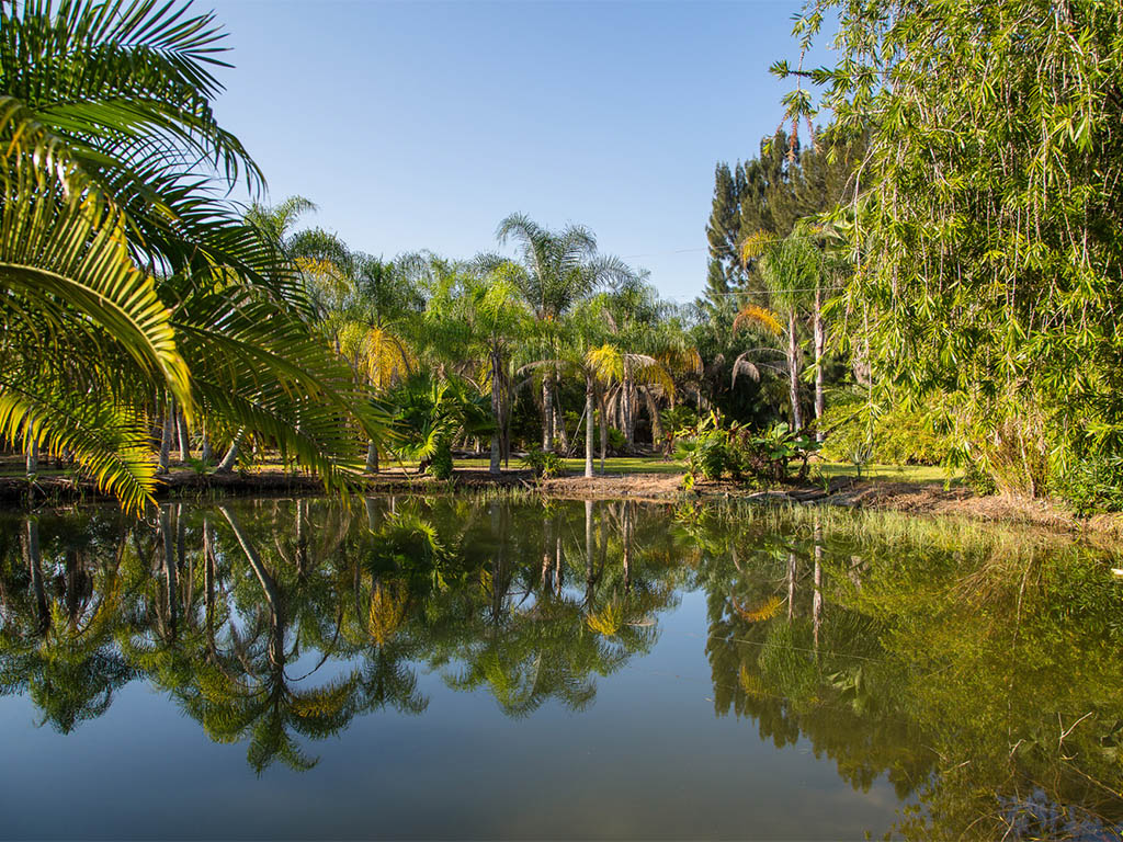 Vero Beach Country Estate Pond & Garden views      