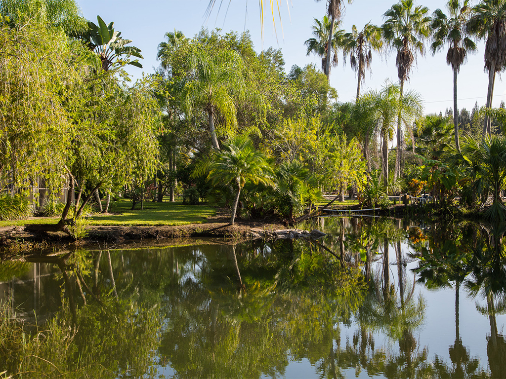 Pond & Garden views in this Country Estate in Vero Beach      