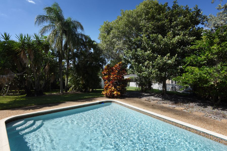 A view of the pool and garden 