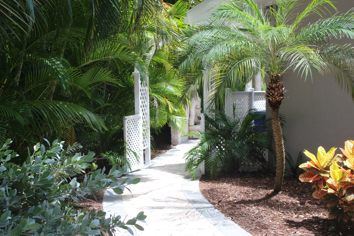 The Entryway to the back yard through a nice trellis 