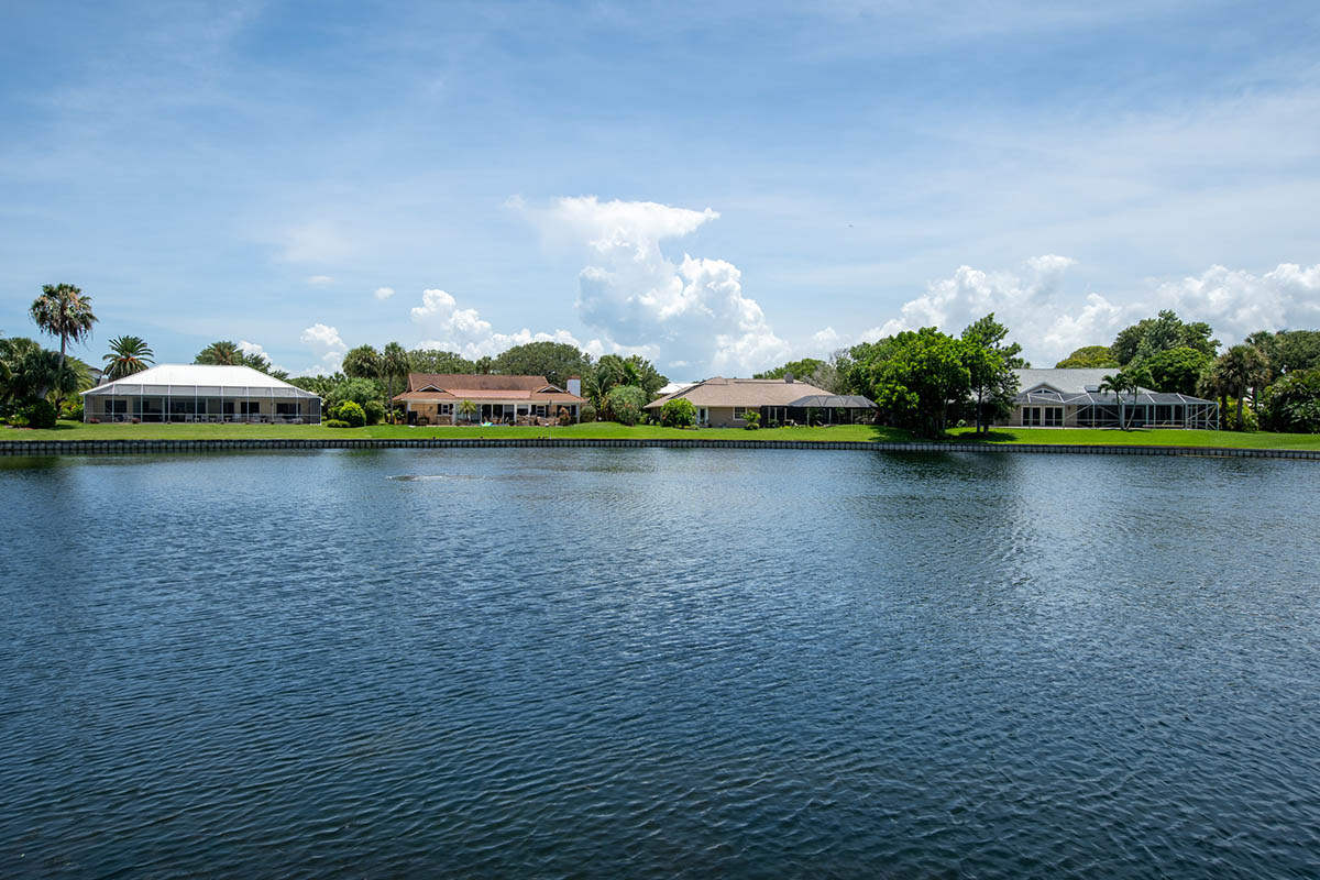 Back Yard Lake View