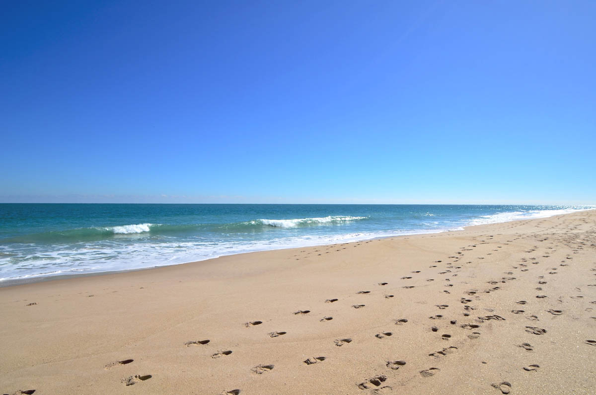 Walk along the pristine beach and enjoy the Florida sun.             