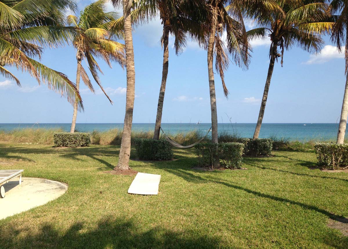 Another view of the back yard with a hammock hanging between the palm trees is another place where you can relax while enjoying ocean breeze.        