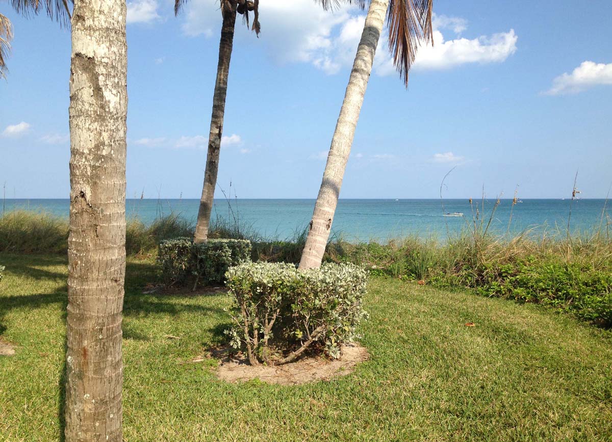 Another great ocean view from the back yard where the lucky buyer will enjoy this beautiful oceanfront residence.        