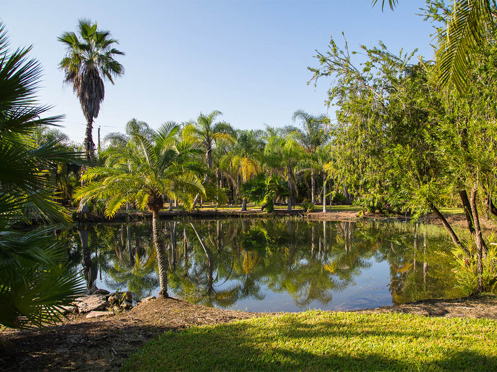 The Pond & Garden of this Vero Beach Country Estate     